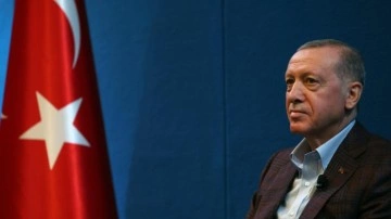 AB ülkesinden itiraf: Erdoğan’ı suçluyorlar ama onun gibi olmak istiyorlar!