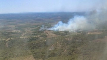 Adana'da çıkan orman yangını kontrol altına alındı