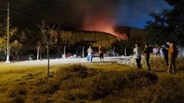 Adana'da geri dönüşüm fabrikasında yangın