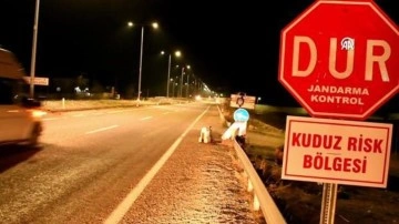 Adıyaman'da kuduz tehlikesi! Bir belde karantinaya alındı