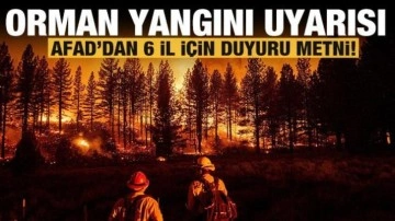 AFAD'dan 6 il için 'orman yangını' uyarısı