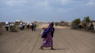 Afrika ülkeleri eski sömürgecilerinden tazminat istiyor