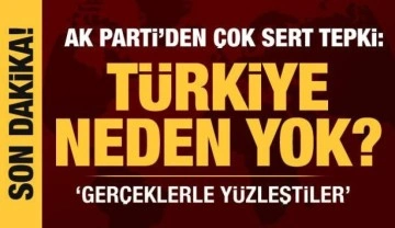 AK Parti Sözcüsü Ömer Çelik'ten Avrupa Birliği'ne tepki: Türkiye neden yok?