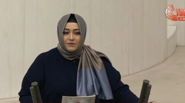 AK Partili vekil TBMM'den ilan etti! 'Türkiye oyun kurucu güç haline geldi'