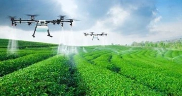 Akıllı tarım uygulamaları dijitalleşmeyle yaygınlaşacak