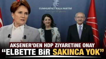 Akşener'den Kılıçdaroğlu'nun HDP ziyaretine onay! 'Elbette bir sakınca yok'