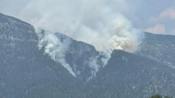 Alanya&rsquo;da orman yangını