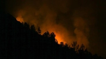 Alanya'daki orman yangını kısmen kontrol altına alındı