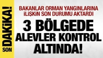 Alevlerle canhıraş mücadele! Orman yangınlarında son durum ne?