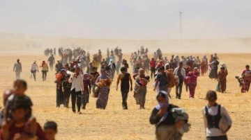 Almanya, DEAŞ'ın Ezidi katliamını soykırım olarak tanıdı