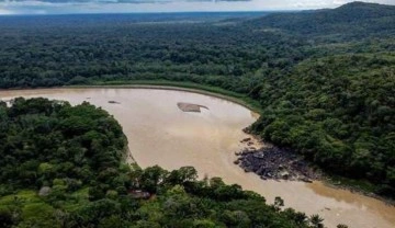 Amazon yağmur ormanları için 'kritik eşik' uyarısı