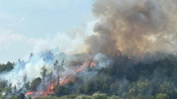 Antalya'da orman yangını: Havadan müdahale ediliyor