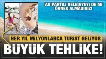 Antalya sahilleri zifte teslim edildi! Kocaeli'deki örnek uygulama akla geldi