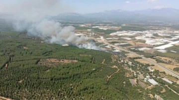 Antalya'da orman yangını