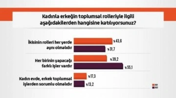 Araştırma: Toplumsal cinsiyet rollerine ilişkin kalıplarda değişim yaşanıyor