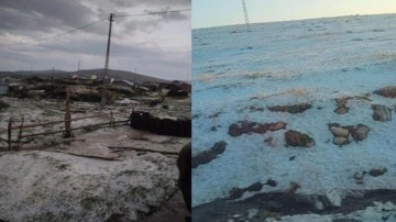 Ardahan'da Ağustos ayında şaşırtan görüntü: Beyaza büründü!