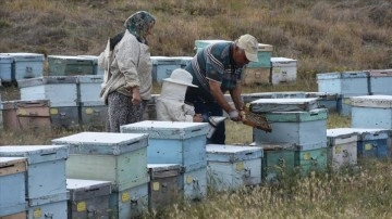 Arıcı çift, kaliteli bal için 30 yıldır Muğla ile Afyonkarahisar arasında mekik dokuyor