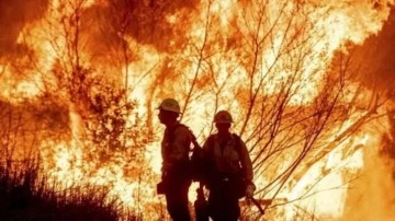 Arşivler yalan söylemez! Los Angeles yangında sessiz kalan Help Turkeyciler