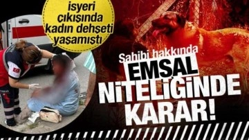 Ataşehir'de kadına saldıran köpeğin sahibi tutuklandı