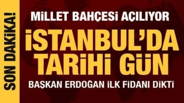 Atatürk Havalimanı Millet Bahçesi açılıyor: Başkan Erdoğan ilk fidanı dikti