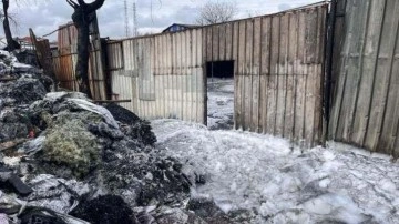 Avcılar'da alev alev yanan geri dönüşüm tesisi gündüz görüntülendi