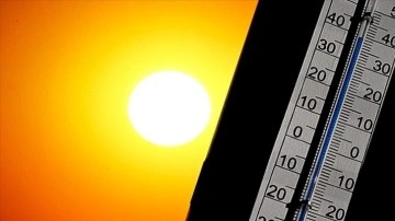 Avrupa'da 2000-2019 döneminde her yıl 175 bini aşkın kişi aşırı sıcaktan öldü