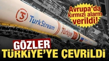 Avrupa'da kırmızı alarm verildi! Gözler Türkiye'ye çevrildi