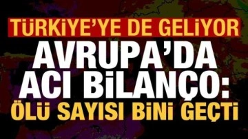 Avrupa'da aşırı sıcak alarmı: Ölü sayısı bini geçti