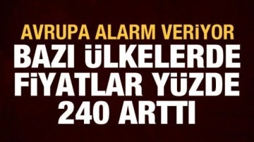 Avrupa'da gaz krizi: Odun depolamaya başladılar