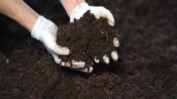 Avrupa'da gübre kıtlığı endişesi