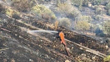 Aydın'da ağaçlık alanda çıkan yangın kontrol altına alındı