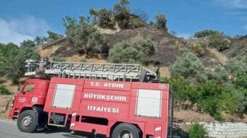 Aydın&rsquo;da korkutan yangın büyümeden söndürüldü