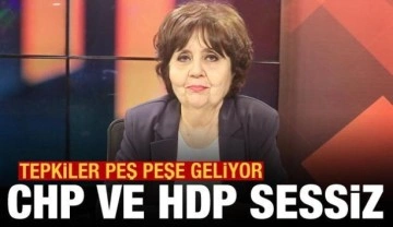 Ayşenur Arslan'ın TMT'yi hedef almasına CHP ve HDP sessiz kaldı