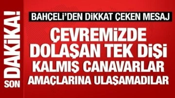 Bahçeli'den dikkat çeken mesaj: Çevremizde dolaşan tek dişi kalmış canavarlar...