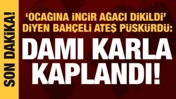 Bahçeli'den muhalefete tepki: Ocağına incir ağacı dikildi!