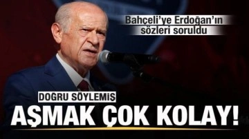 Bahçeli'ye Başkan Erdoğan'ın sözleri soruldu: Doğu söylemiş...