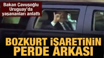 Bakan Çavuşoğlu'ndan 'Bozkurt' işareti açıklaması