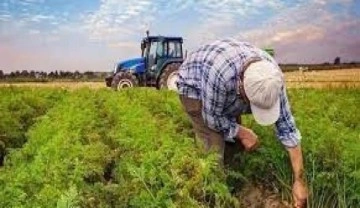 Bakan Kirişçi: Tarımsal destek ödemeleri bugün başlıyor