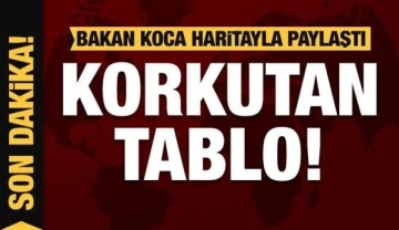 Bakan Koca haritayı paylaştı! Korkutan tablo