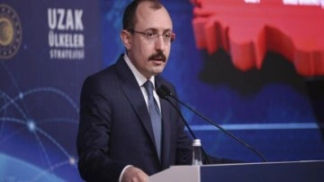 Bakan Muş: Hizmet ihracatına 10 milyar liralık destek geliyor