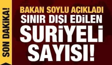 Bakan Soylu, sınır dışı edilen Suriyeli sayısını açıkladı