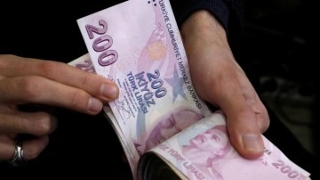 Bakanlık duyurdu! Hesaplara yatırıldı: Tam 1 milyar 195 milyon...