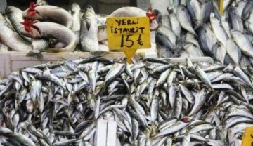Balık tezgahlarında enflasyon yok!