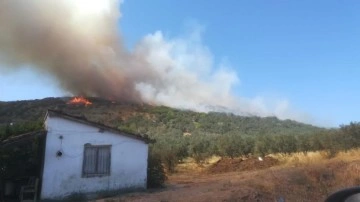 Balıkesir'de orman yangını: Ekipler müdahale ediliyor!