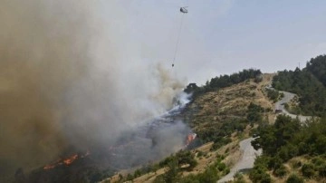 Balıkesir'de orman yangını: Müdahale devam ediyor