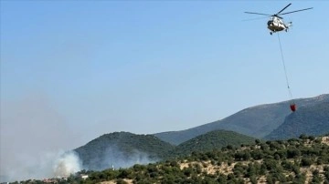 Balıkesir'de ormanlık alandaki yangına müdahale ediliyor