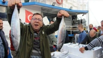 Bandırma Balık Hali'nde palamut bolluğu yaşanıyor