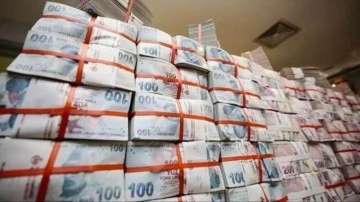 Banka dışı mali kuruluşların aktifleri 896,2 milyar lira oldu