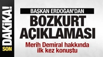 Başkan Erdoğan'dan bozkurt açıklaması! Merih Demiral hakkında ilk kez konuştu