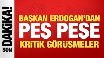 Başkan Erdoğan'dan peş peşe kritik görüşmeler!